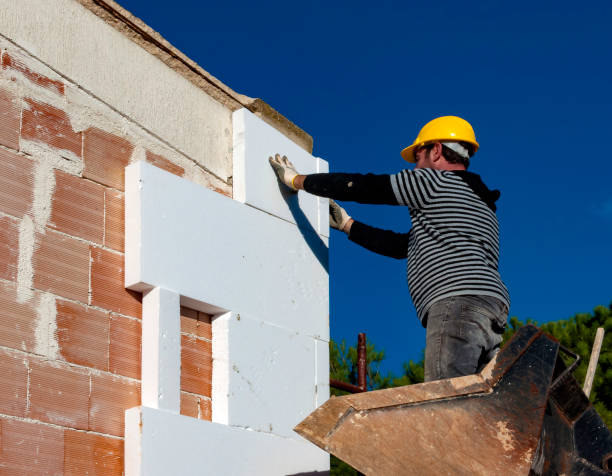 Best Insulation for New Construction  in Zachary, LA