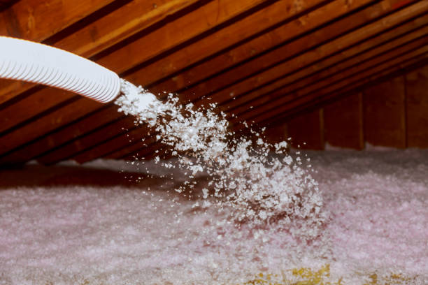 Best Professional Insulation Contractor  in Zachary, LA