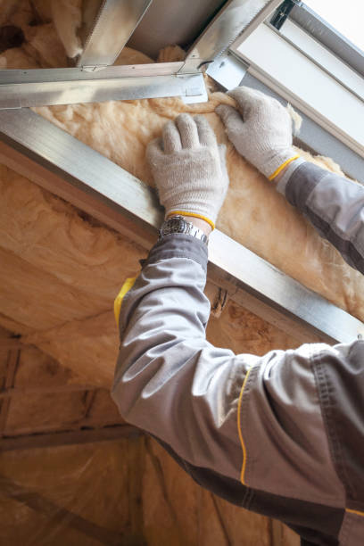 Best Fiberglass Insulation  in Zachary, LA