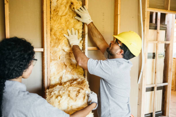 Best Blown-in Insulation  in Zachary, LA