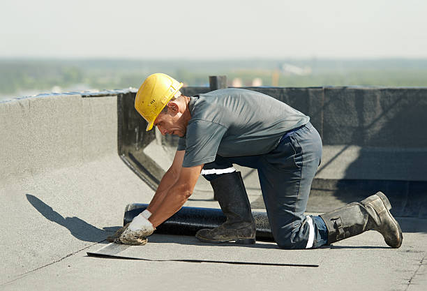 Best Attic Insulation Near Me  in Zachary, LA