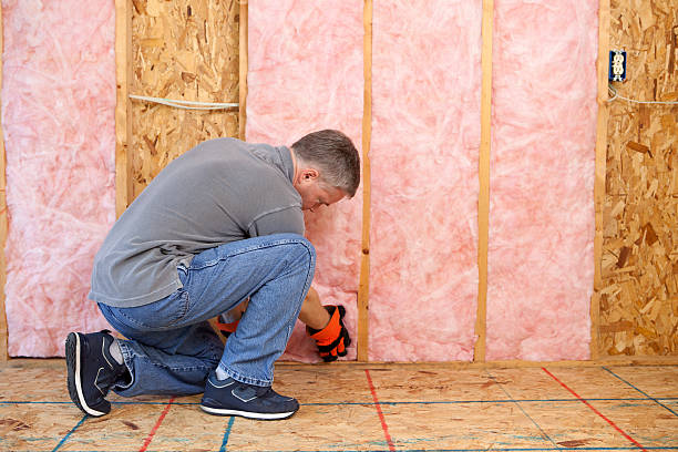 Best Insulation Removal  in Zachary, LA
