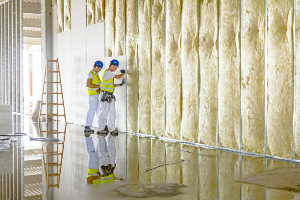 Best Insulation Contractor Near Me  in Zachary, LA